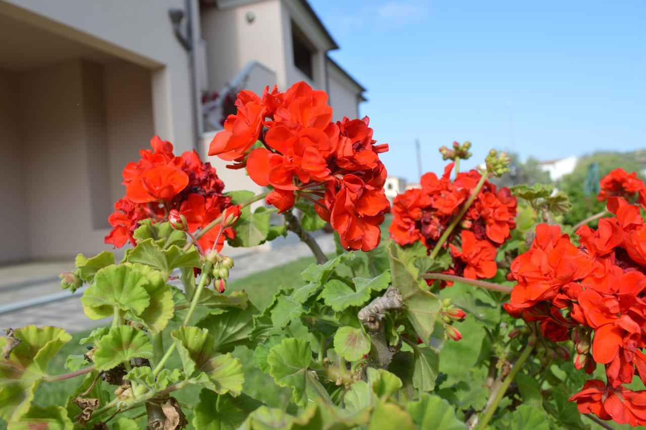 Guest Rooms Affittacamere San Teodoro  Εξωτερικό φωτογραφία