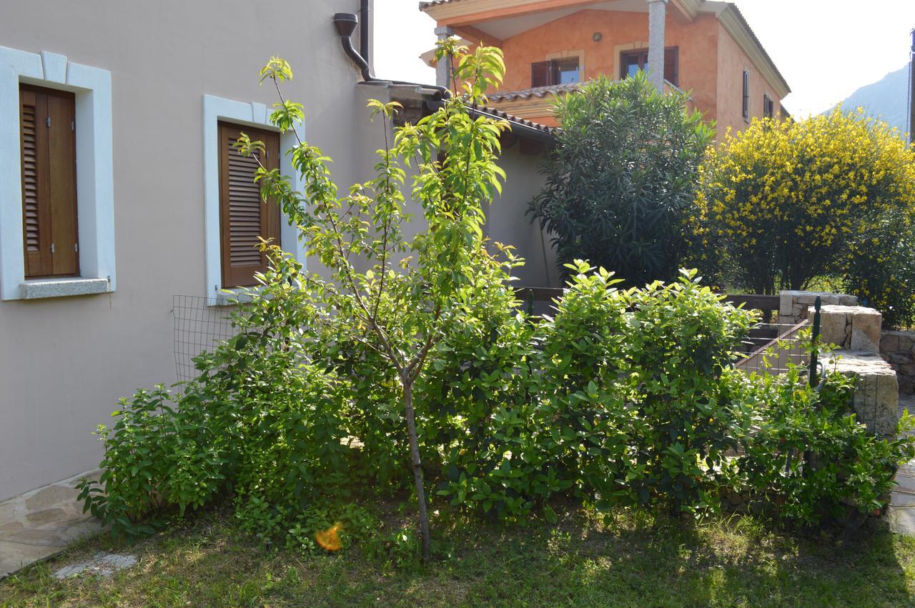 Guest Rooms Affittacamere San Teodoro  Εξωτερικό φωτογραφία